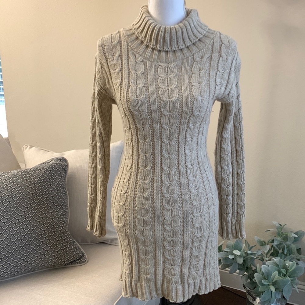 Stylewise Sweater Dress